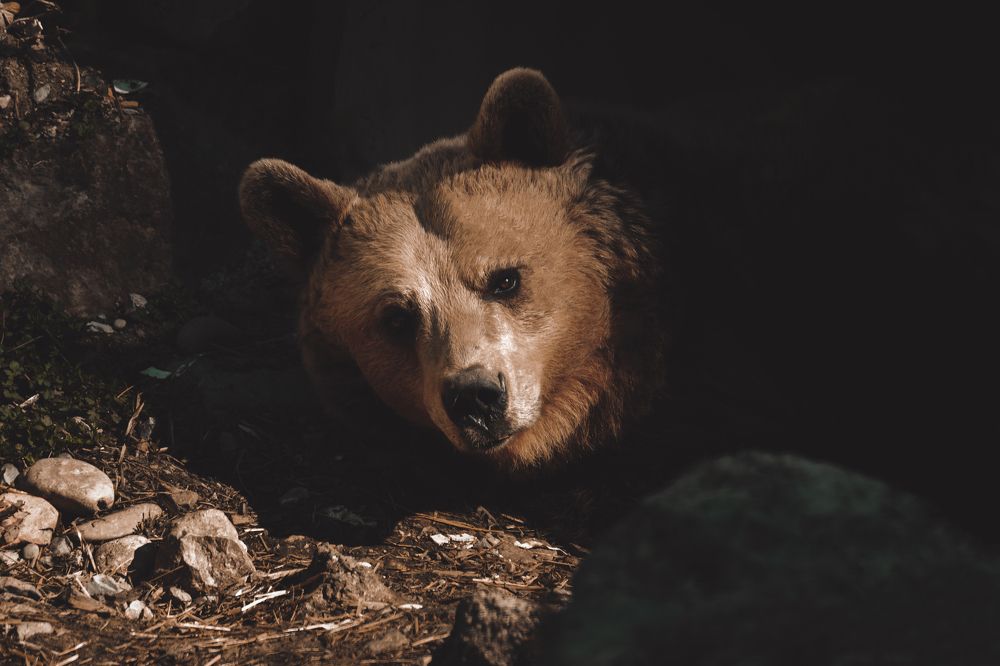 Photograph by Fahrudin Seferagić