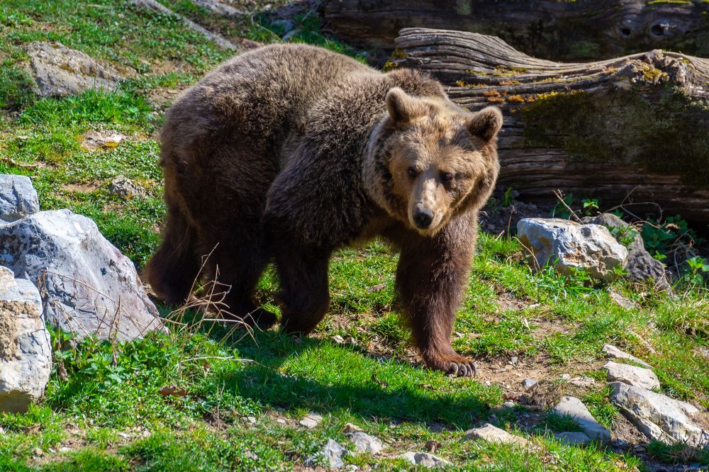 Photograph by Fahrudin Seferagić