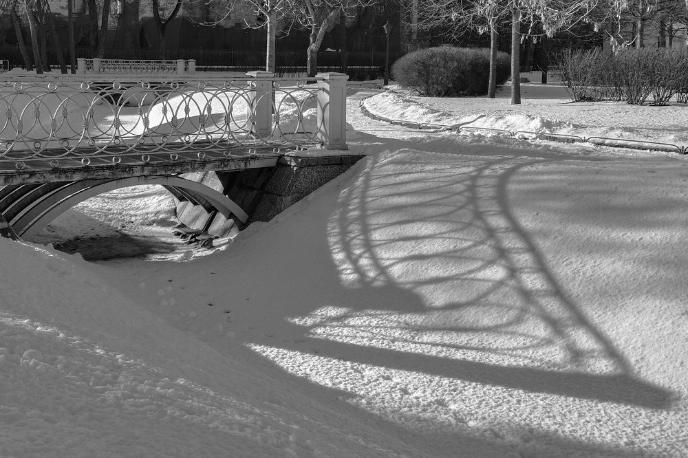 Фотография автора Larisa Meshkova