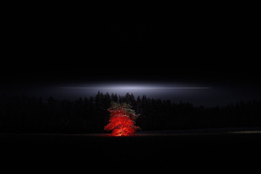 Photograph by Лутовкин Артём