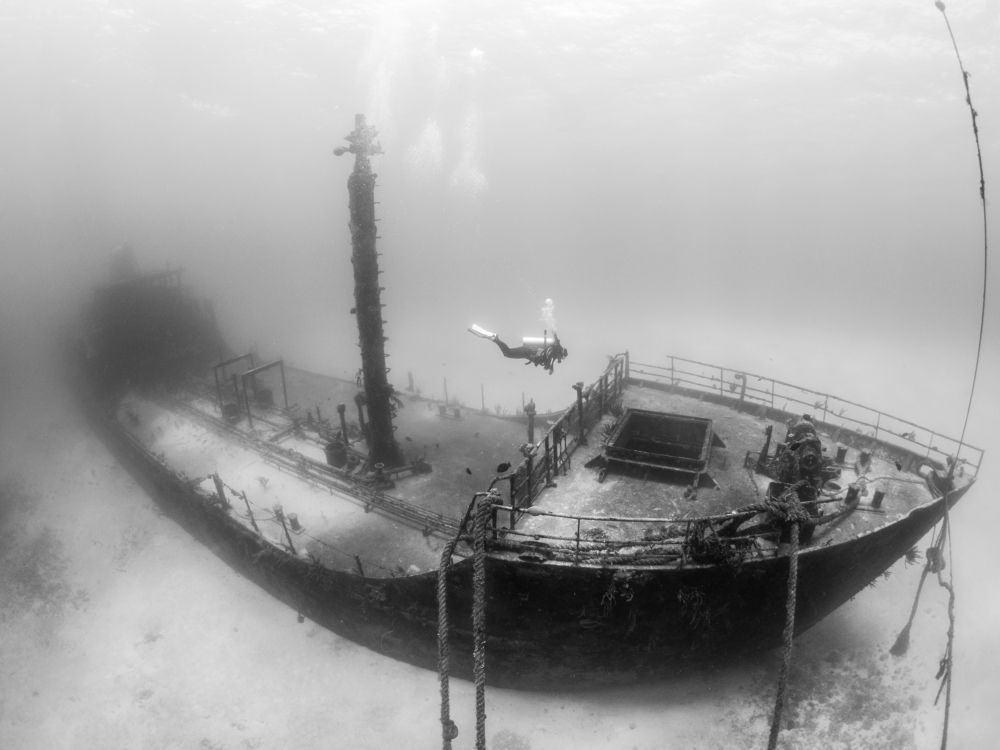 Photograph by Carlos Eduardo Barreto Pinheiro