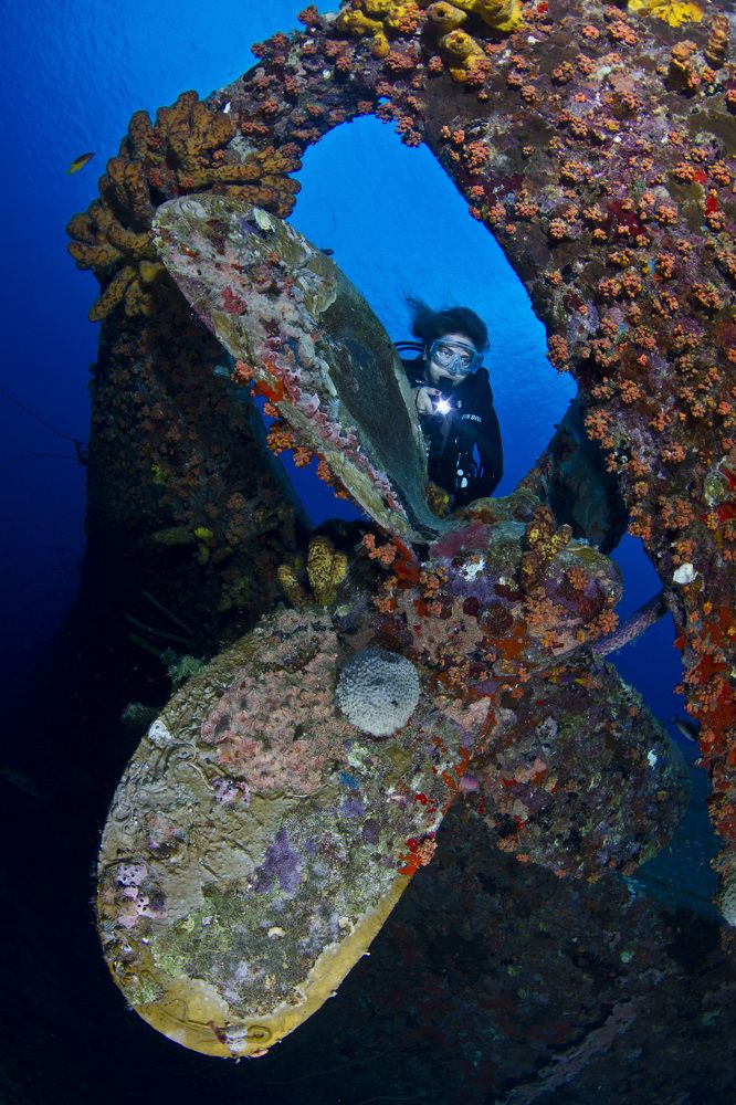Photograph by Carlos Eduardo Barreto Pinheiro