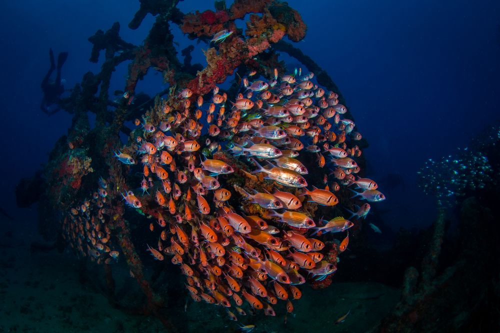 Photograph by Carlos Eduardo Barreto Pinheiro