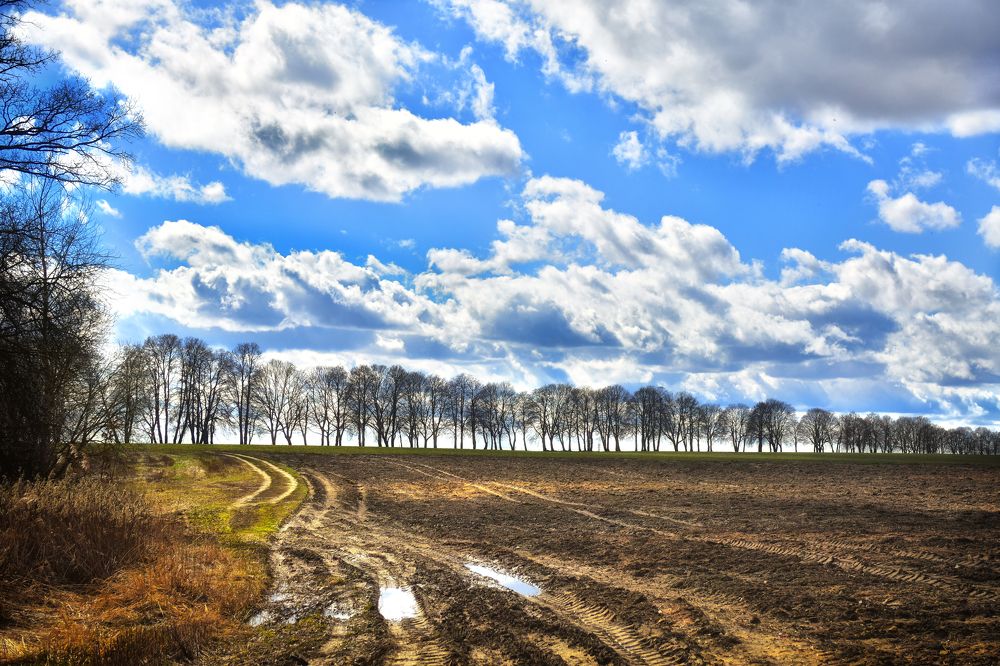 Photograph by Cергей Землянский