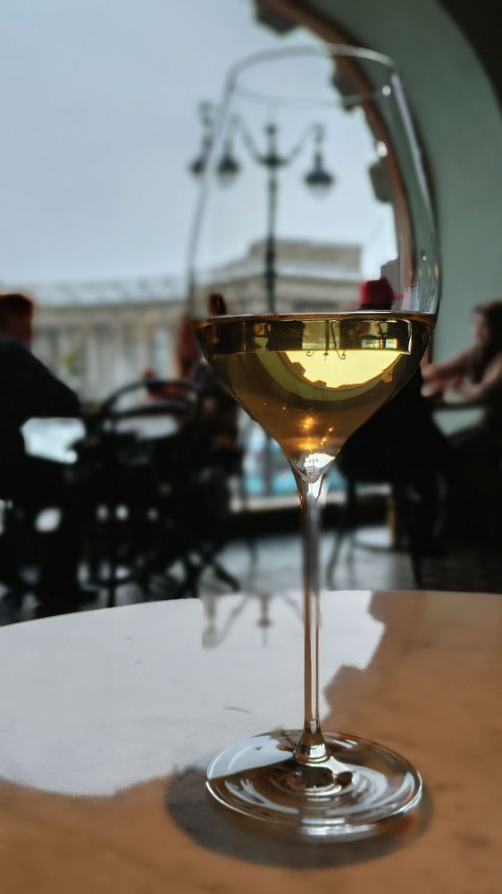 Фотография автора Larisa Meshkova