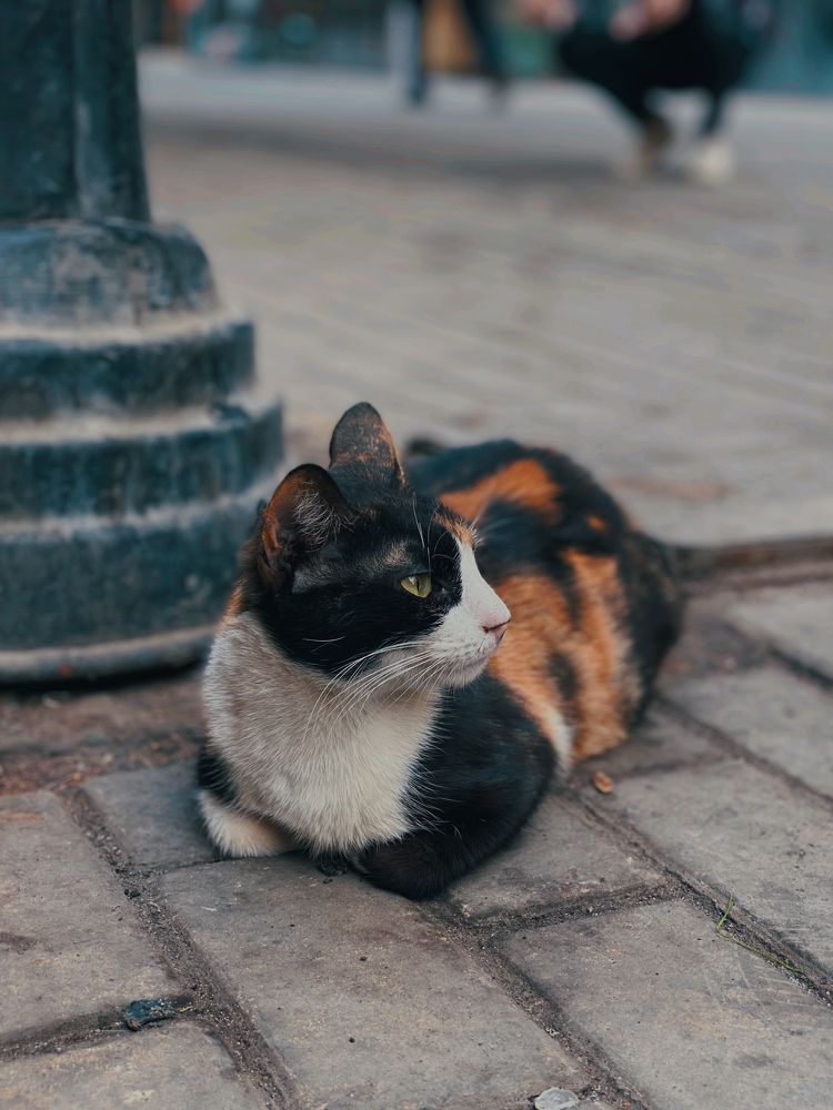 Photograph by ZIAD ASHRAF