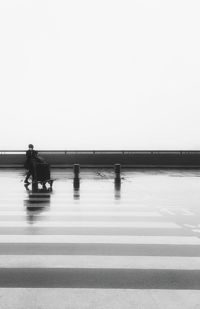Photo #9035686