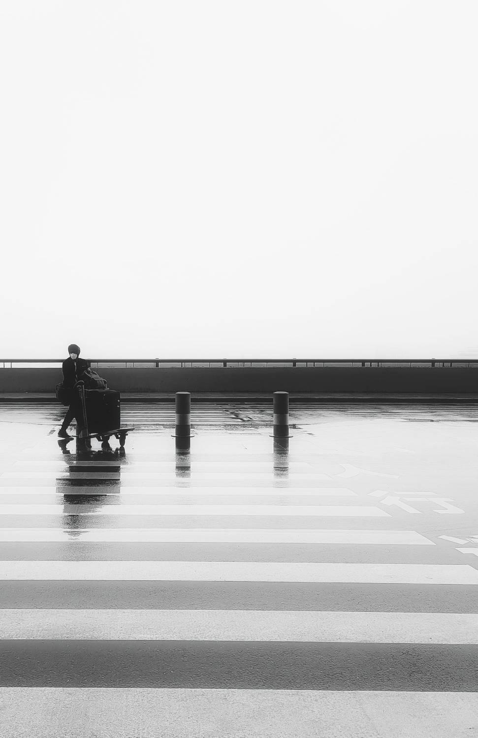 Photo #9035686