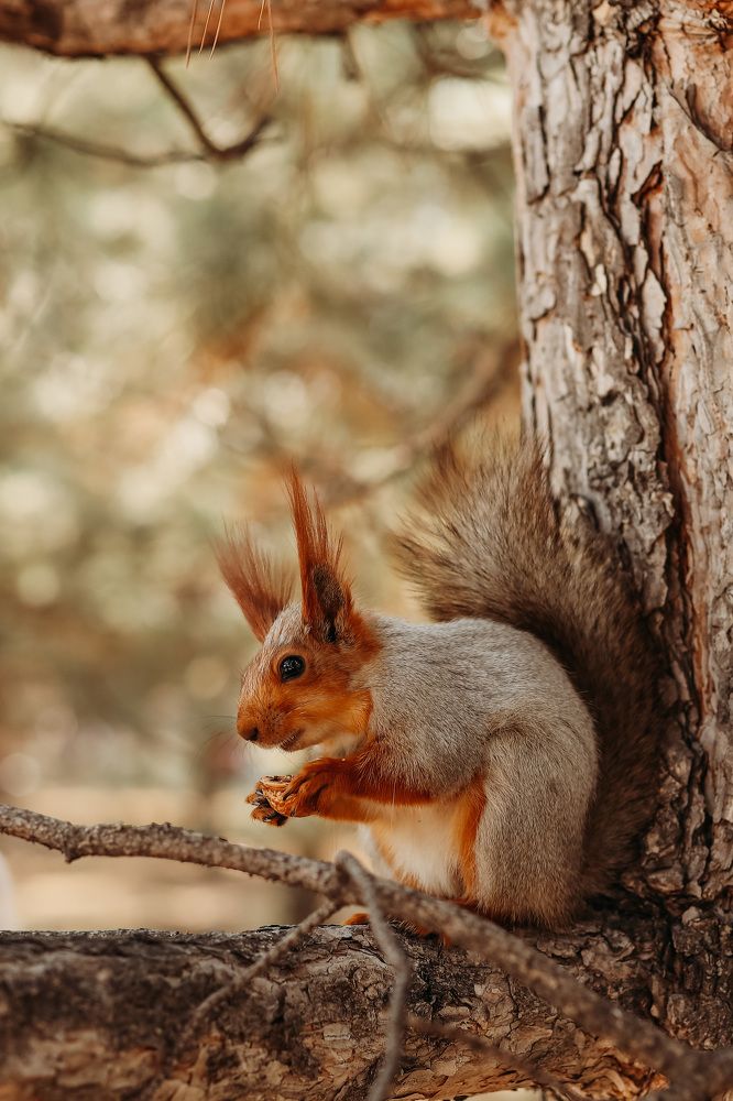 Photograph by Инесса Юровских