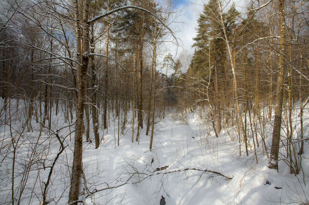 Photograph by Сергей Старостин