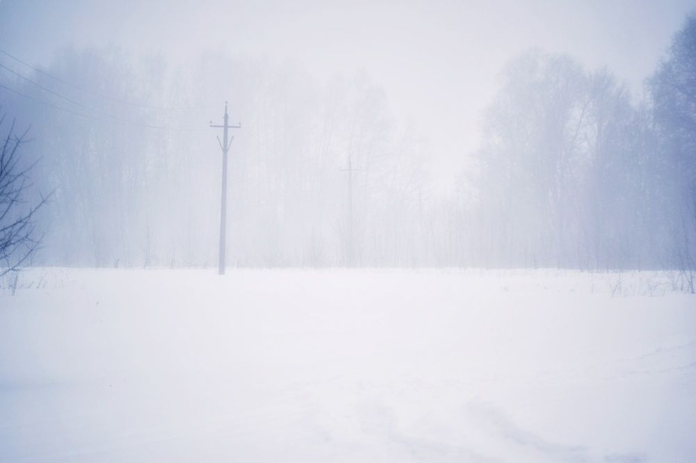 Photograph by Onyx X