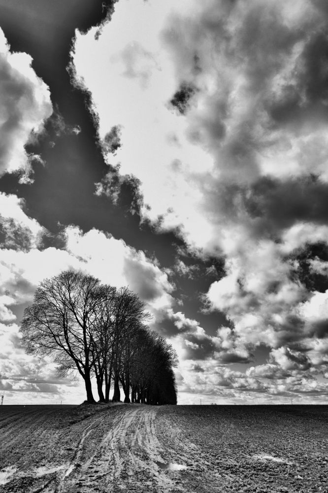 Photograph by Cергей Землянский