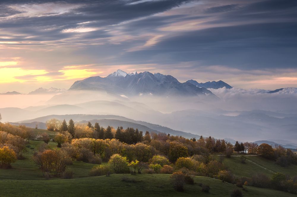 Photograph by Tommaso Paolucci