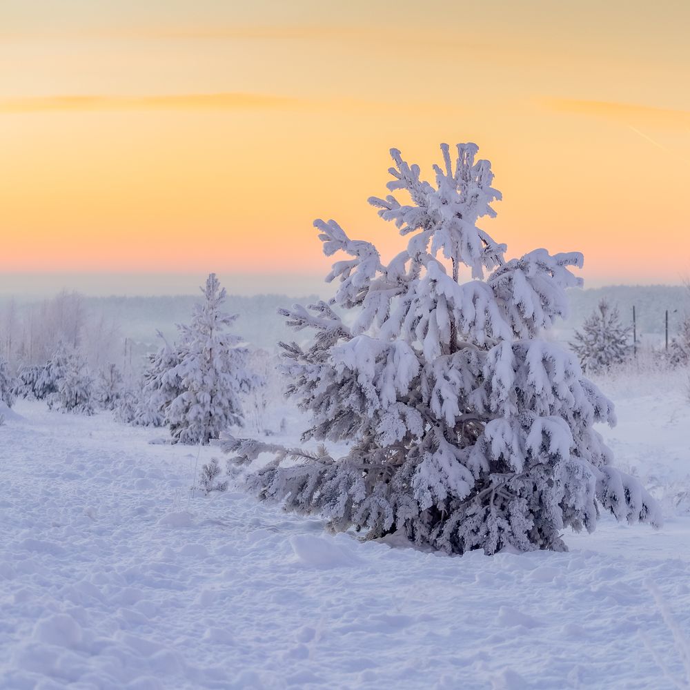 Фотография автора Панагушин Сергей