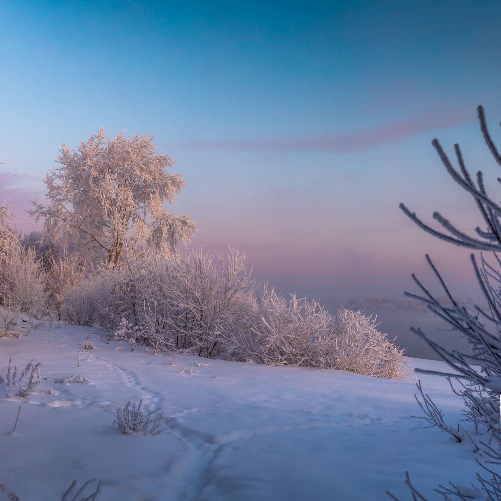 Фотография автора Панагушин Сергей