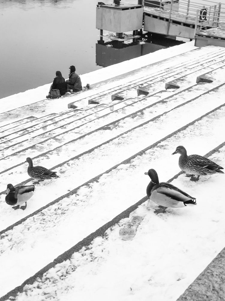 Photograph by Татьяна Лышенко