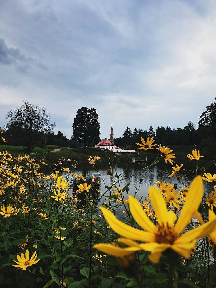 Photograph by Ирина Кучеренко