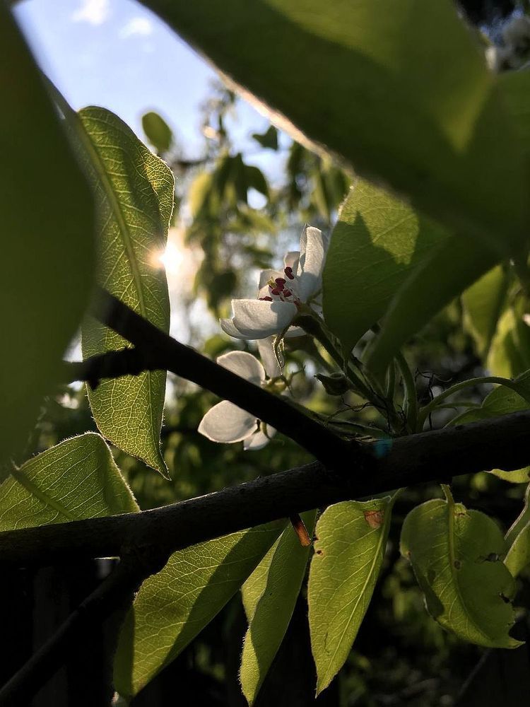 Photograph by Ирина Кучеренко