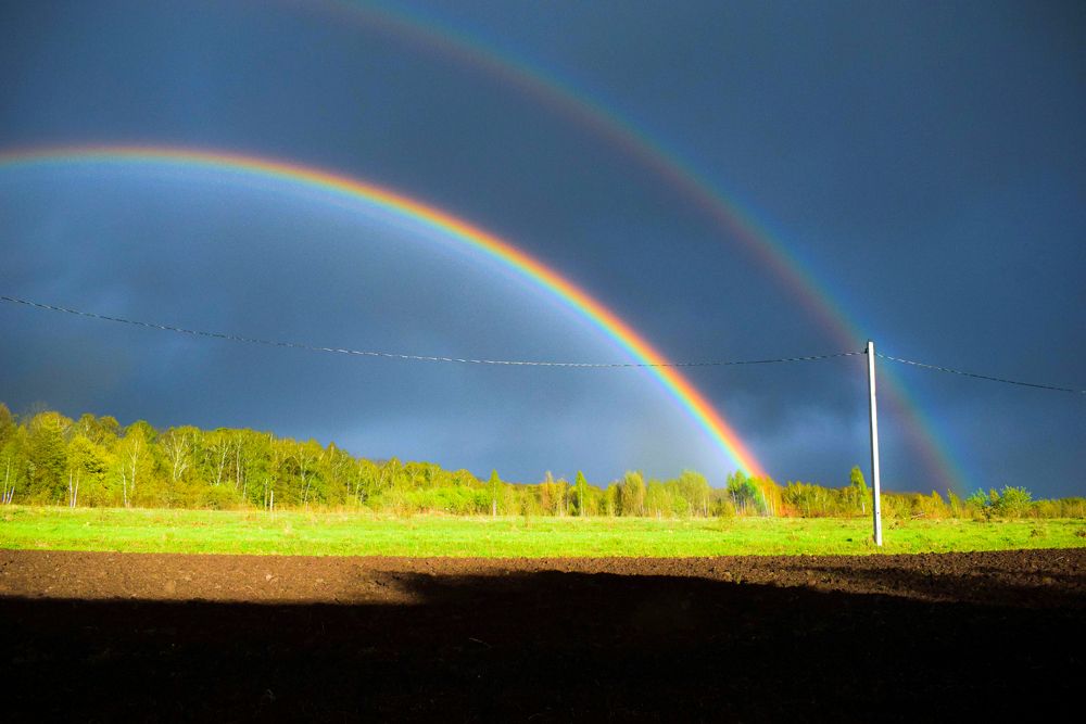 Photograph by Onyx X