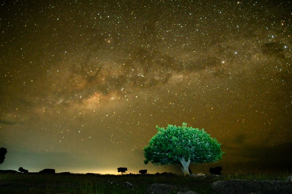 a night at east sumba