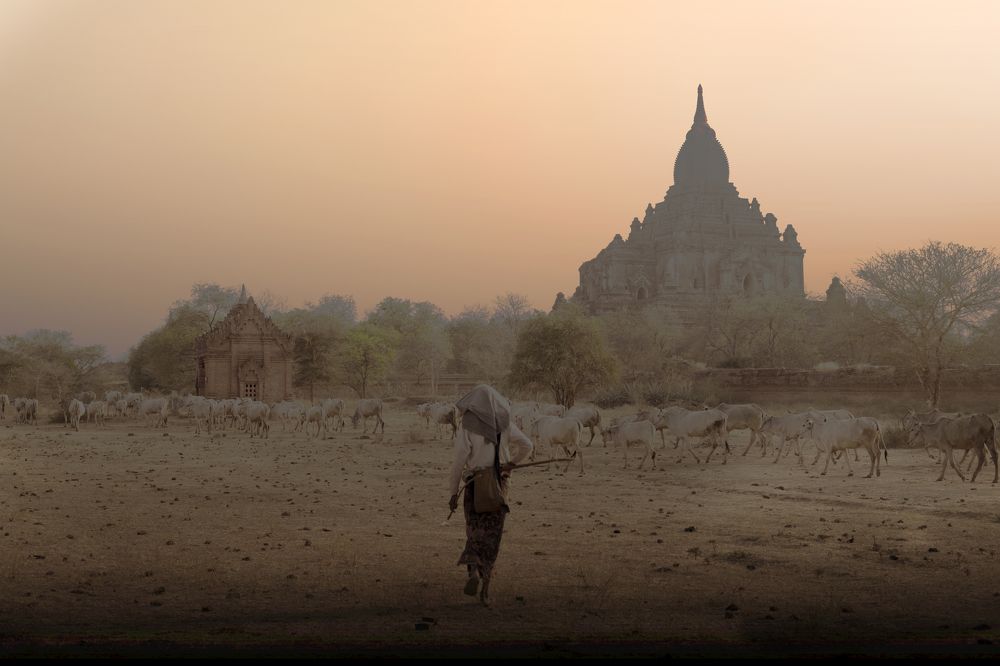 Photograph by Максимушкина Ольга