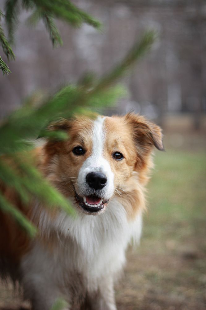 Photograph by Зотова Дарья