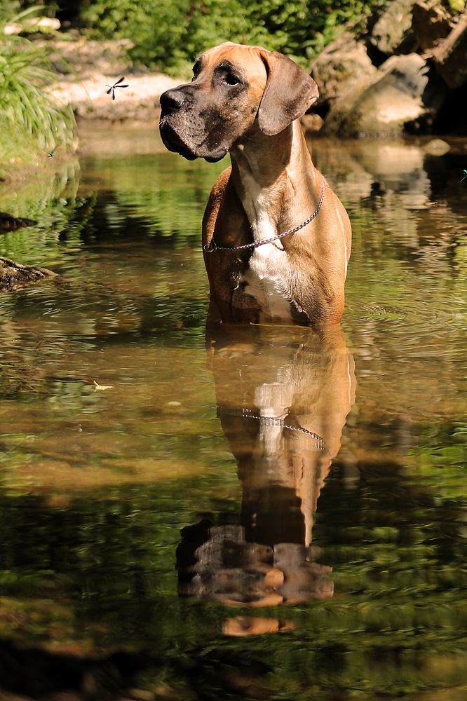 Photograph by Диана Ульянцева