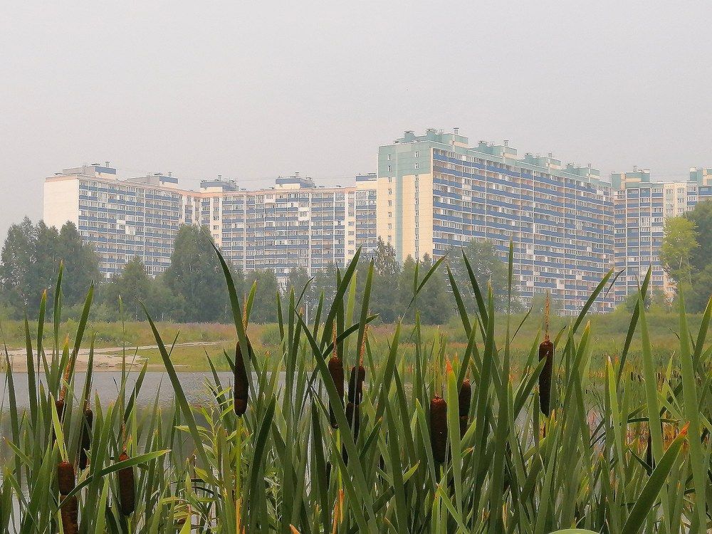 Фотография автора Andrey Pristyazhnyuk