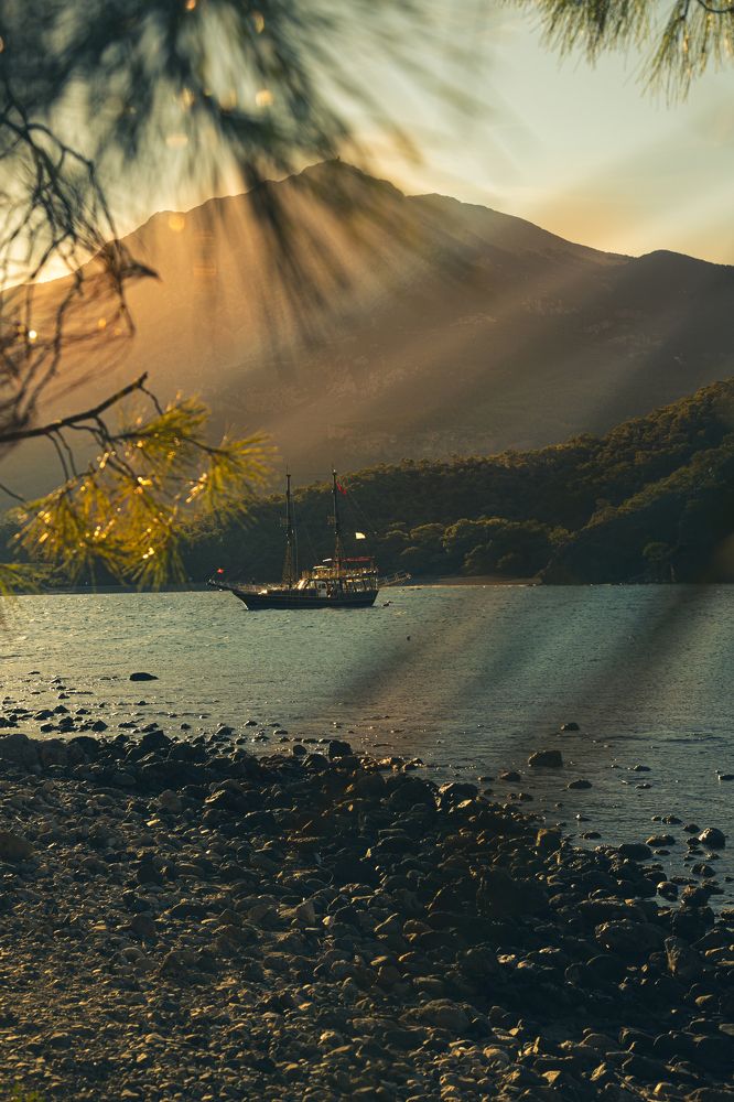 Фотография автора Антон Елисеев