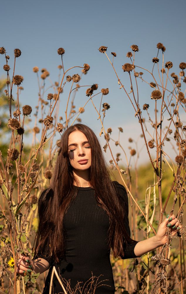 поцелуй солнца