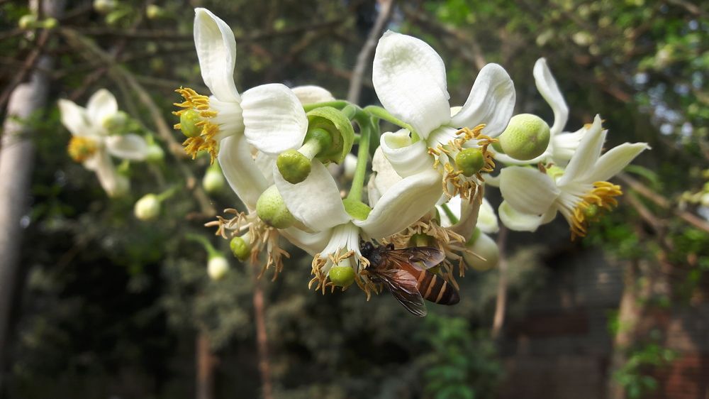 Photograph by DEBADRITA BISWAS Jain