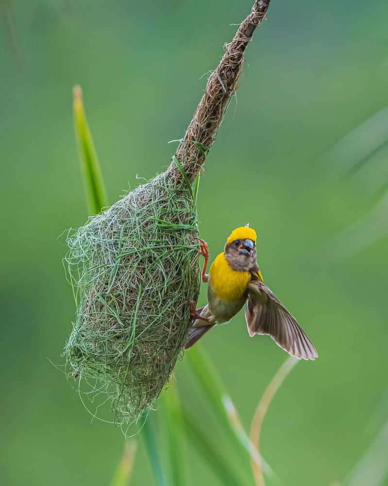 Photograph by Prem Madhavan