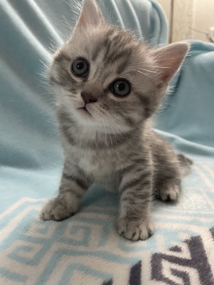 Photograph by Ольга Игумнова