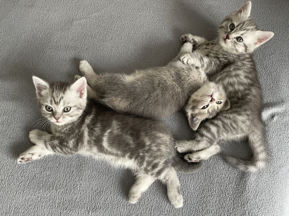 Photograph by Ольга Игумнова