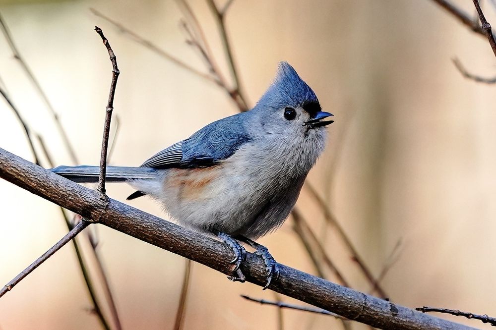 Фотография автора Viktoria Farkas