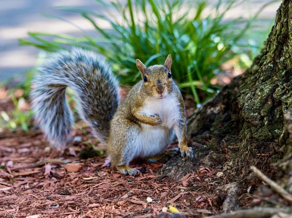 Фотография автора Viktoria Farkas