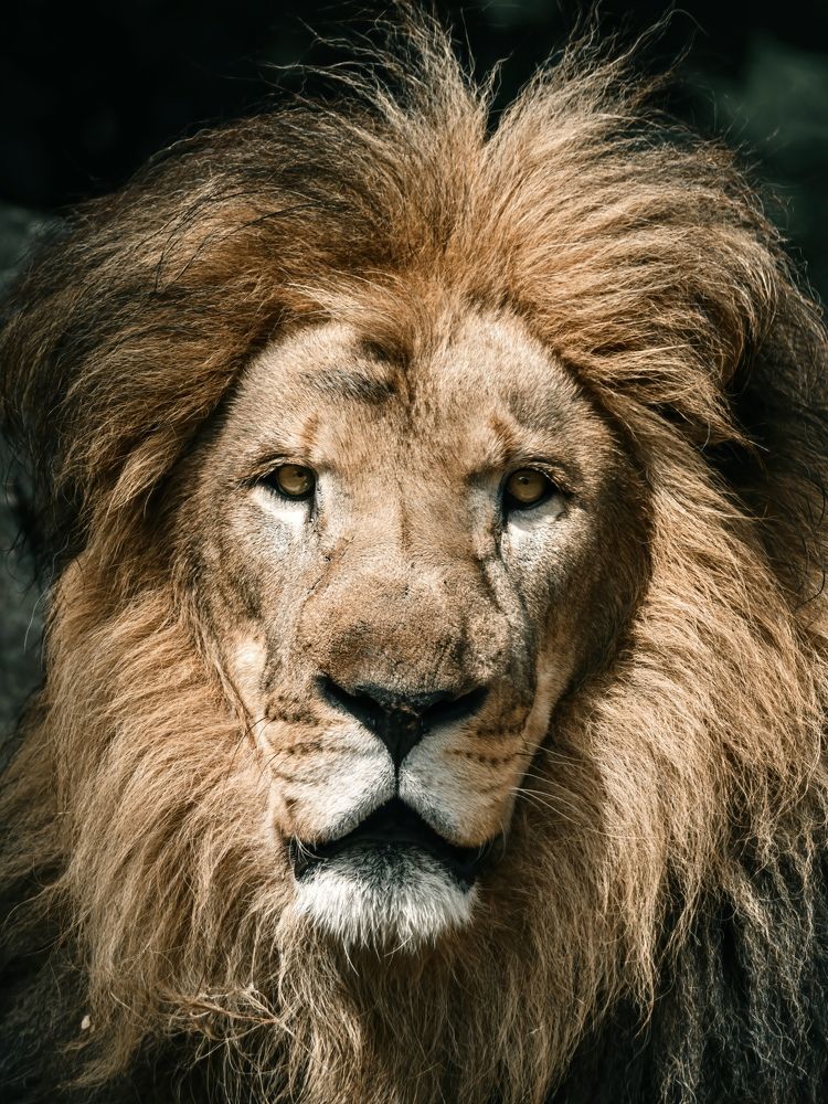 Фотография автора Viktoria Farkas