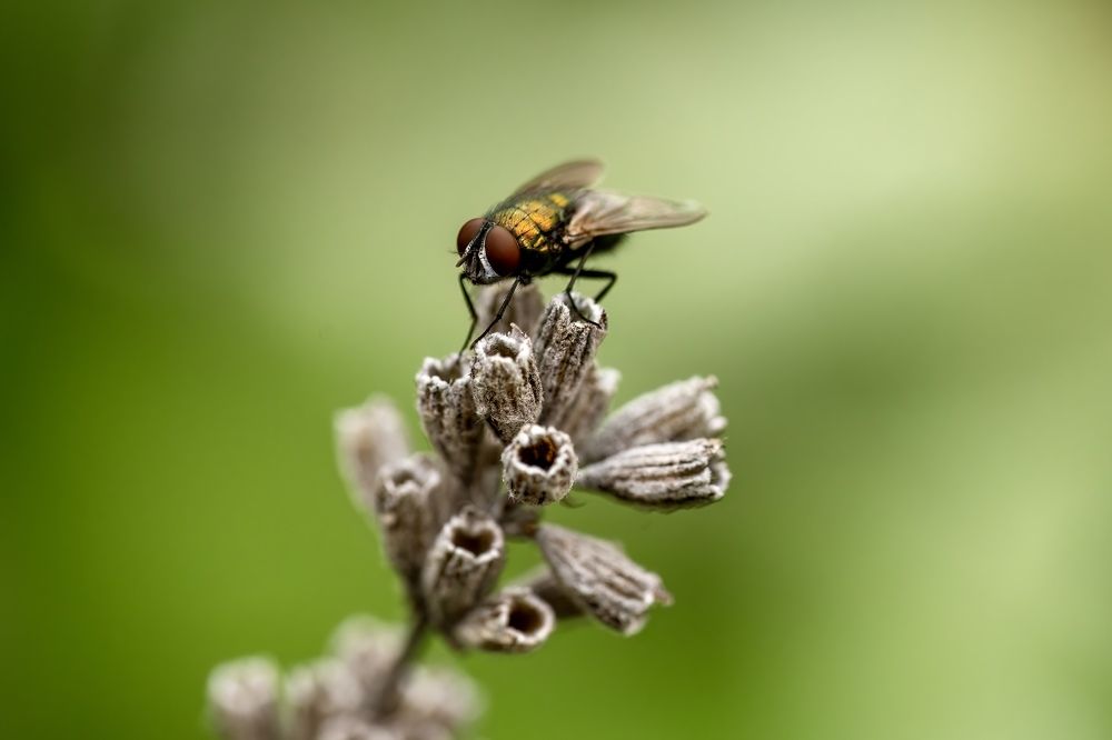 Фотография автора Viktoria Farkas