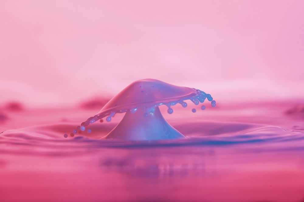 Фотография автора Viktoria Farkas