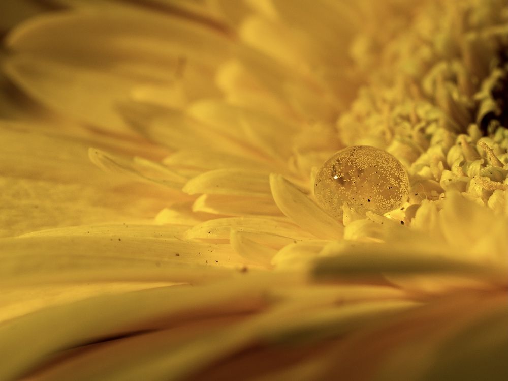 Фотография автора Viktoria Farkas