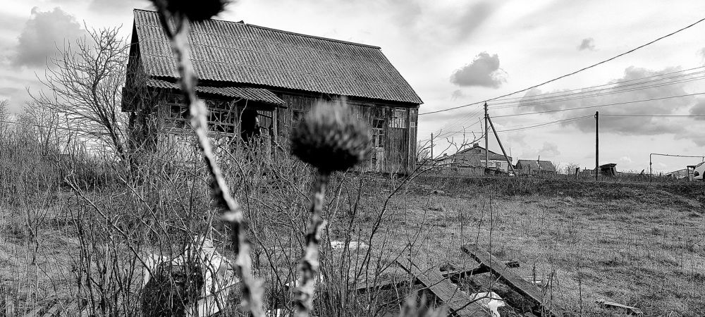 Photo #9037302