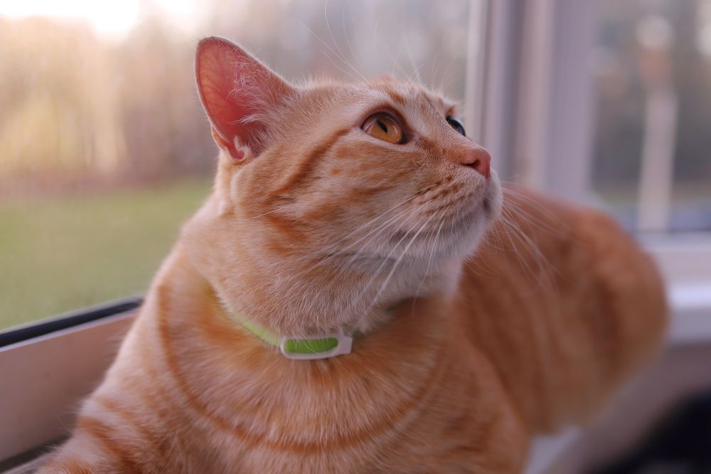 Photograph by Константин Лагоденко