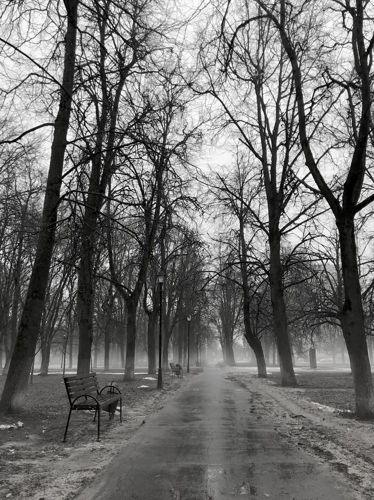 Photograph by Михаил Некрасов