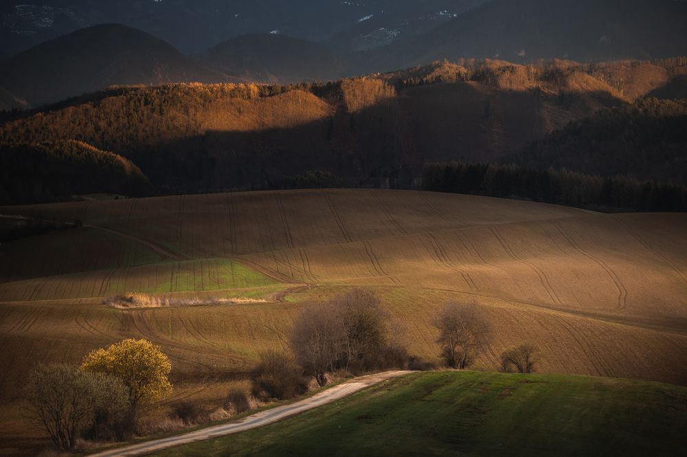 Фотография автора Tomas Kozel