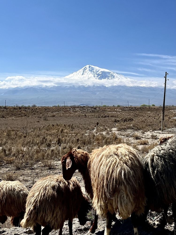 Ararat mountain