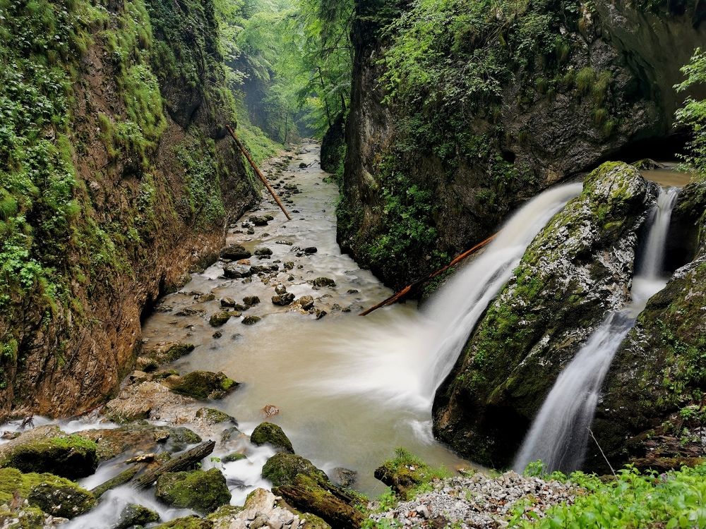 Фотография автора Sebastian Popa