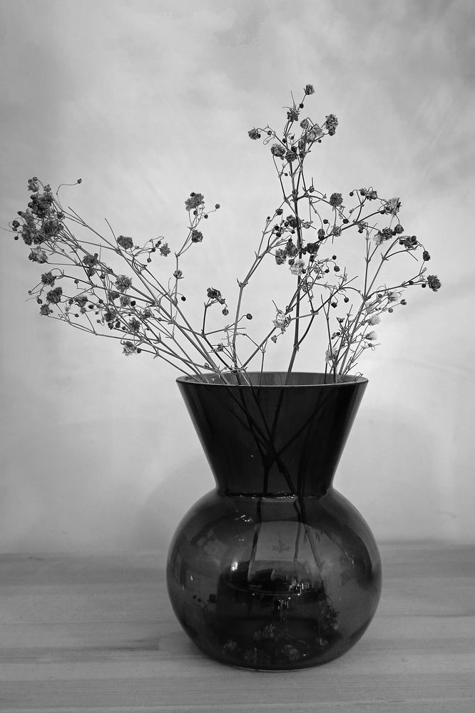Сухостой в стеклянной вазе