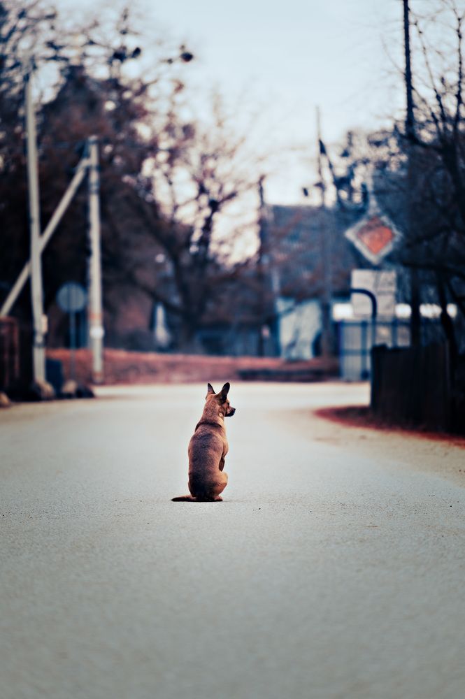 Photograph by Елена Ефимова