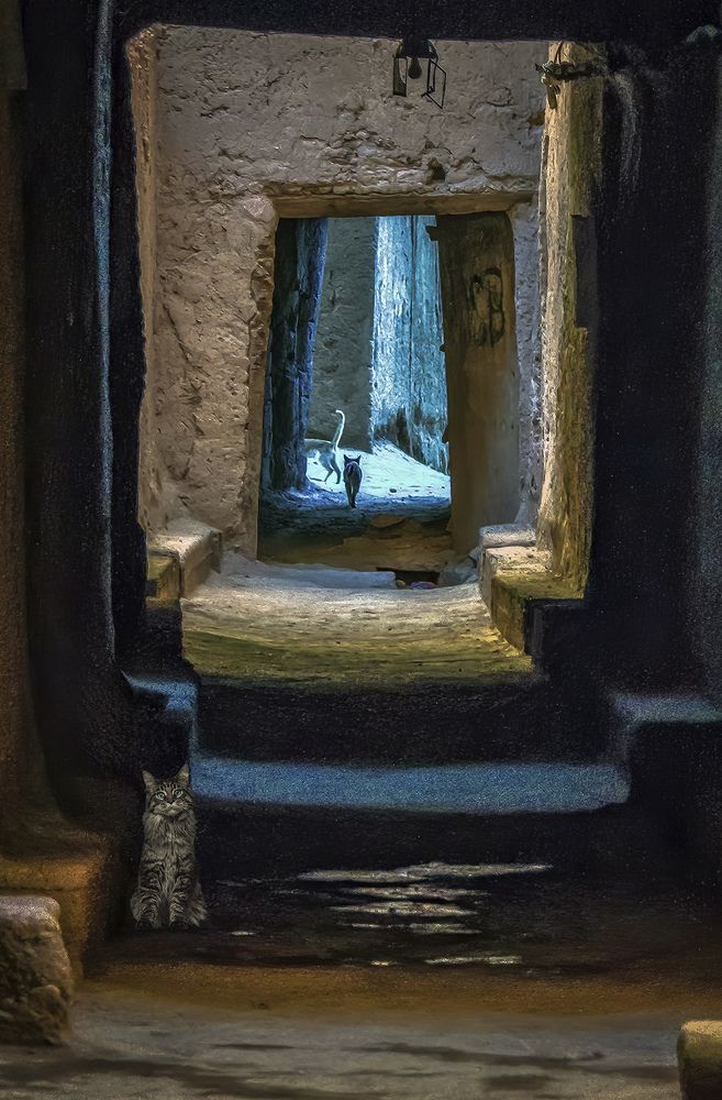 Photograph by Daniel Peterburg