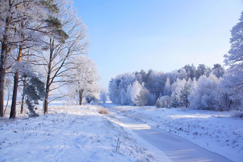 Photograph by андрей феоктистов